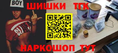 соль ск Можга