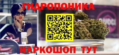соль ск Можга