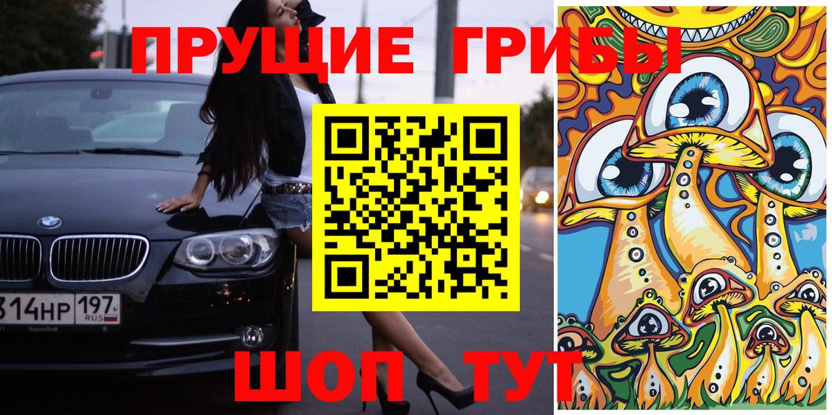 Псилоцибиновые грибы мицелий Узловая