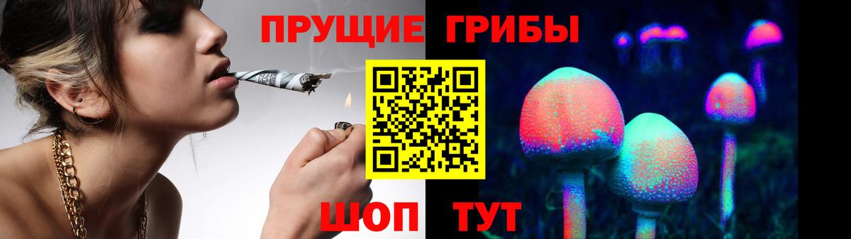 Узловая  Галлюциногенные грибы прущие грибы  Вход с VPN 