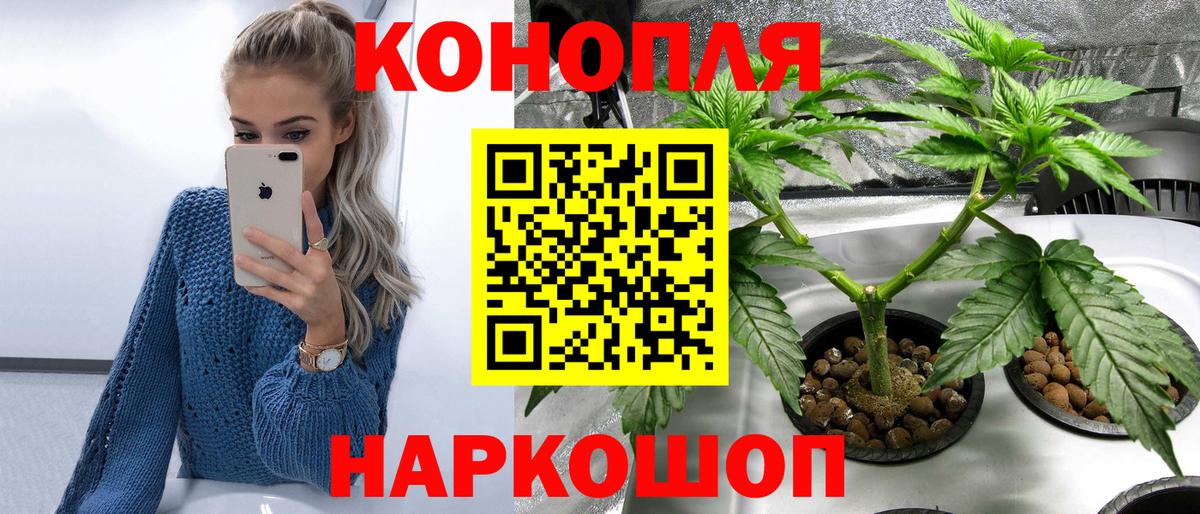 Каннабис White Widow  Вход с VPN  Узловая  Конопля индика  Канабис VHQ 